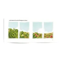 Die Wassermelonenkerne